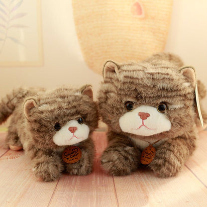 catdoll peluche chat réaliste – doudou enfant | CuteCatDoll - Mon Univers Enfant