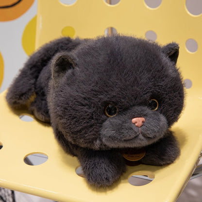 catdoll peluche chat réaliste – doudou enfant | CuteCatDoll - Mon Univers Enfant