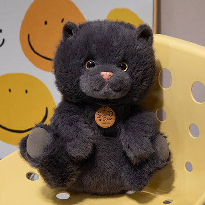 catdoll peluche chat réaliste – doudou enfant | CuteCatDoll - MUE - Mon Univers Enfant