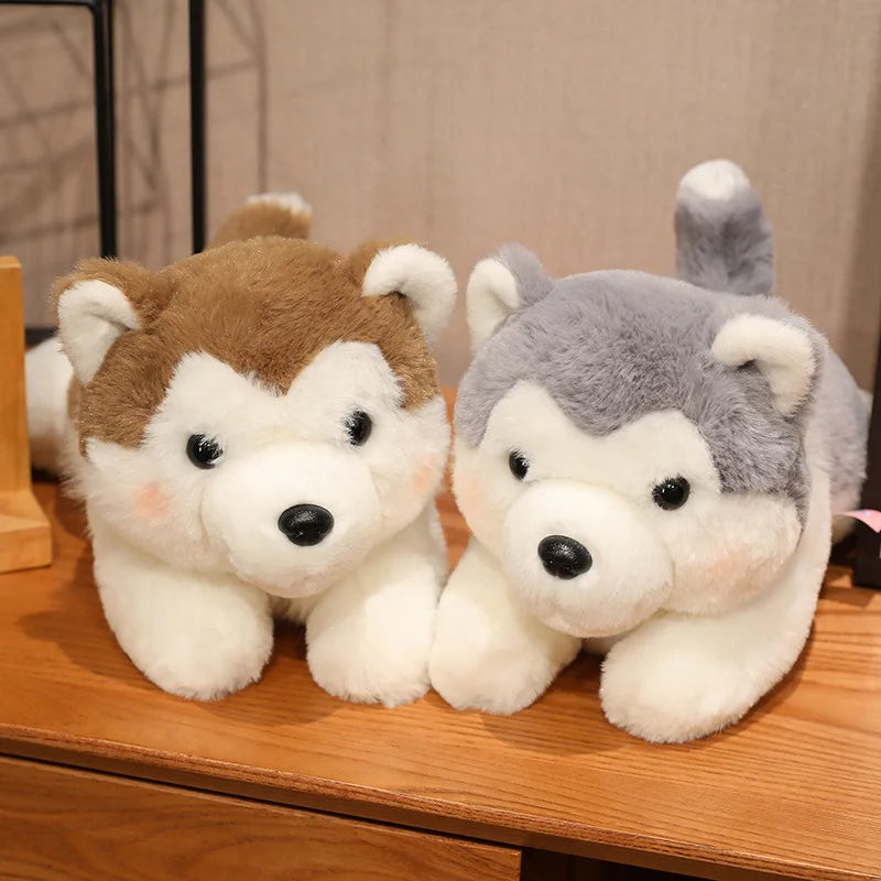 peluche chien douxcalin